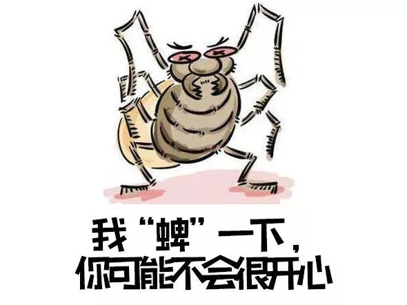 ͢f(shu)x(chng)ҧڡ᣿U(xin)ԓԓrԺ@